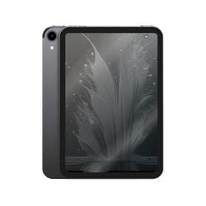 아이패드 미니 7세대 스페이스그레이 128GB WiFi+셀룰러 (MXPN3KH/A) 국내정품 Ss