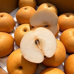 가정용 햇 화산배 5kg내외(10-14과)