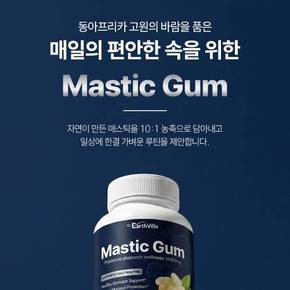 천연 매스틱 검 추출물 고농축 1000mg 120캡슐 3개