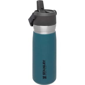 영국 스탠리 손잡이 텀블러 Stanley IceFlow 스테인리스 스틸 Water Bottle with Flip Straw 0.6