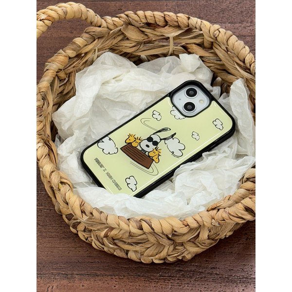 Flying in the sky Epoxy case_HC2599HP004O