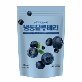 냉동과일 블루베리홀 1kgX3개