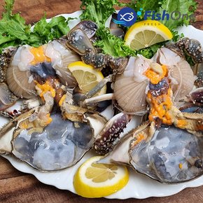 산지직송 알배기 생물 암꽃게(특) 1kg(3미전후)