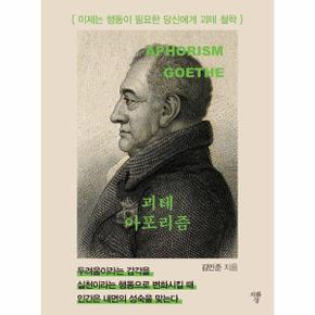 괴테 아포리즘 - 이제는 행동이 필요한 당신에게 괴테 철학 (포켓북)