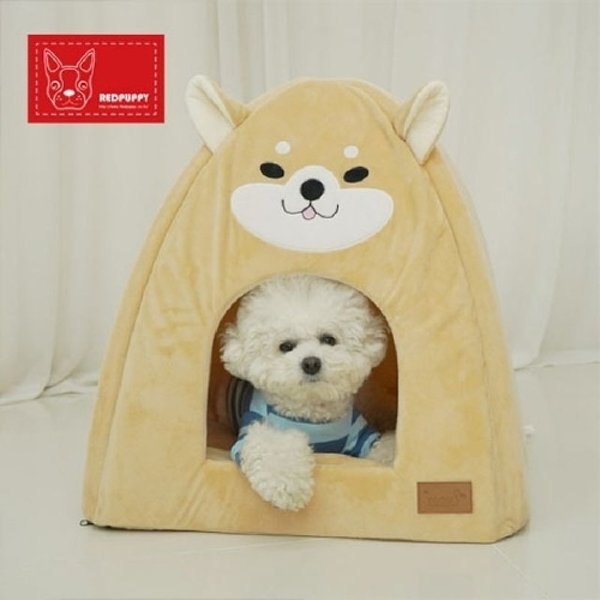 확대된 대표 image1