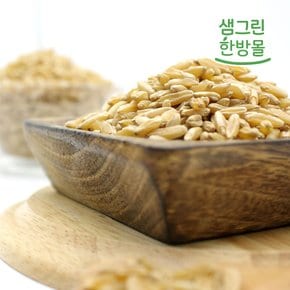 호라산밀 1kg 고대곡물