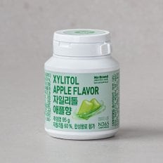 자일리톨 애플향 95g