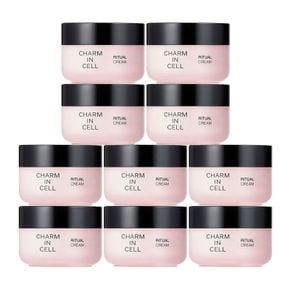 참존 참인셀 리추얼 크림 50ml 10개 탄력 미백 주름개선 기능성 토탈 안티에이징..[36147167]