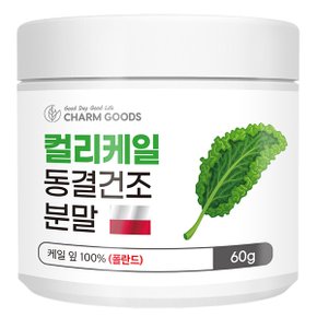 동결건조 컬리케일 분말 60g 1통