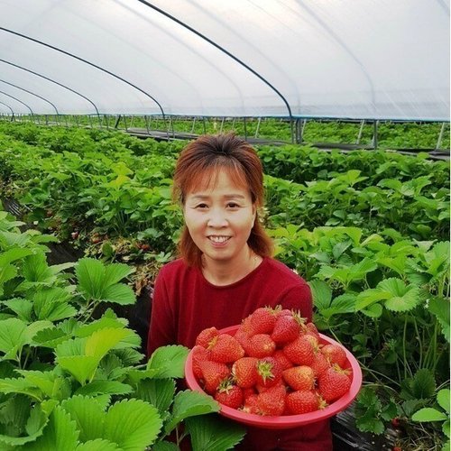 상품이미지2