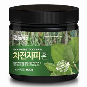 차전자피환 300g