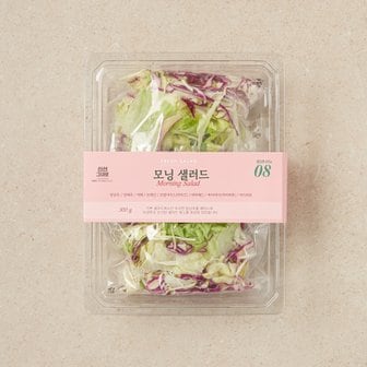  모닝 샐러드 (300g)