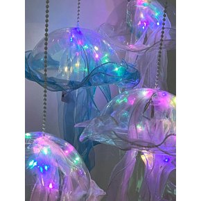 해파리 라이트
