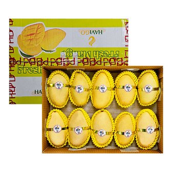  프리미엄 고당도 골드망고 4kg