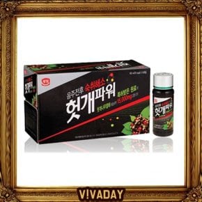 BN 실용적인 광동 헛개파워 100ml X 10병 음료 헛개차