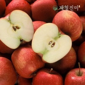 경북 햇 부사사과 3kg (대과 255g-305g)