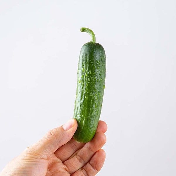 확대된 대표 이미지 P