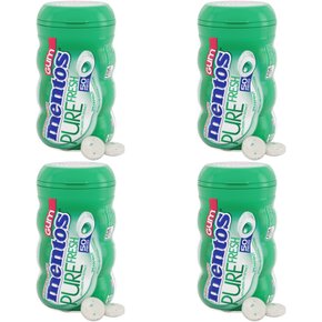 멘토스 스피어민트 껌 50개입 Mentos Gum 4개