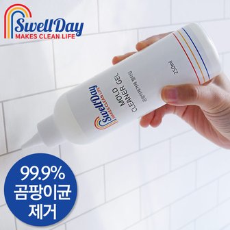 홈스웰 스웰데이 곰팡이제거제 250ml 10개