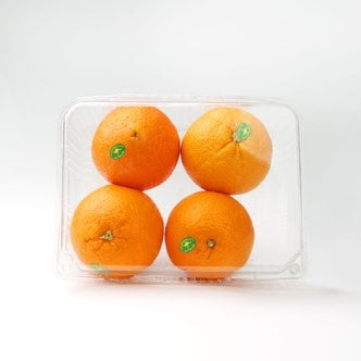 과일愛 오늘의 과일 오렌지 1.3kg
