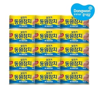 동원 동원참치 인 워터 100g x 15개