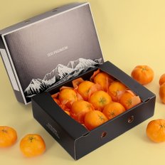 다농이네 제주직송 레드향 선물세트 2.5kg (중과/11-14과)