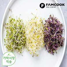 팸쿡 가락시장직송 새싹채소 50g