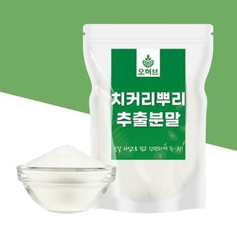 오허브 대용량 치커리 뿌리 추출물 가루 분말 500g