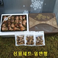 / 선물 참송이버섯 일반형 700g+사은품칩30g×3팩