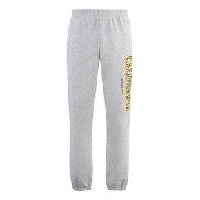 Track pants SWAW237HG_HEATHERGREY grey