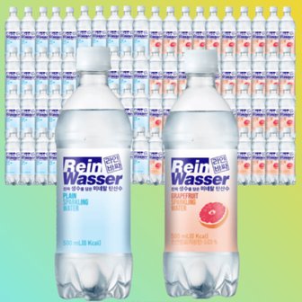  라인바싸 자몽 플레인 탄산수 500ml x40개1+1 총80개