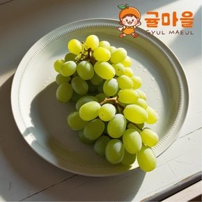 아삭한 씨없는 애플 청포도 1kg