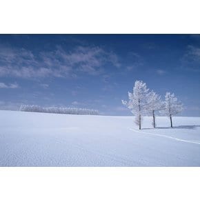 대구 【겨울特別상품】 설(雪)렘 가득 눈꽃에 물든 낭만여행 4일 [죠잔케이X소운쿄온천] ▶비에이/오타루/흰수염폭포+타키노레이엔+썰매체험