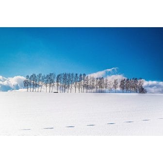 롯데관광 대구 【겨울特別상품】 설(雪)렘 가득 눈꽃에 물든 낭만여행 4일 [죠잔케이X소운쿄온천] ▶비에이/오타루/흰수염폭포+타키노레이엔+썰매체험