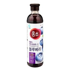 청정원 마시는 홍초 블루베리 900ML 청정원 마시는 홍초 블루베리 청량 탄산음료