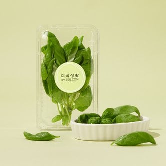  친환경 바질 10g