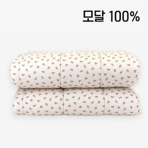 {~10/27일까지 김해점 할인 행사!!} 소프트 모달 차렵이불 - 22 Petit flower