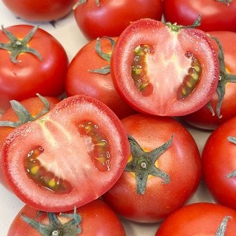 지투지샵 완숙토마토 주스용 3kg 못난이