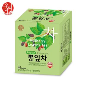 송원 뽕잎차 40티백 (건강차)