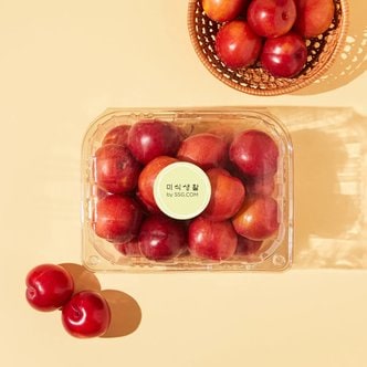  저탄소 자두 1kg/팩