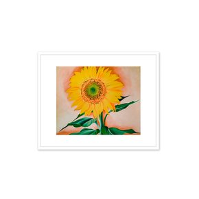 그림액자 A Sunflower from Maggie, 1937 / 조지아 오키프