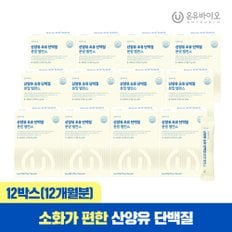 소화가 편한 산양유 초유 단백질 락토페린 분말 밸런스 12박스(총 12개월분) 우유맛