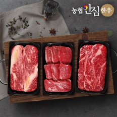 [농협안심한우] 1등급 구이채반 2호 선물세트 1kg (등심400g+안심300g+채끝300g)