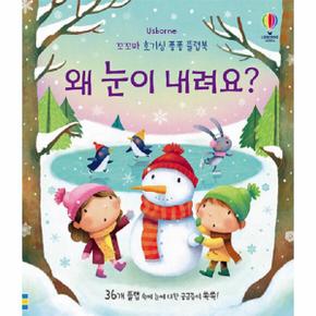 왜 눈이 내려요 - 꼬꼬마 호기심 퐁퐁 플랩북 (양장)