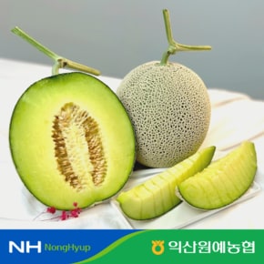12브릭스 이상 선별 익산 머스크멜론 3.2kg내외 (2수)