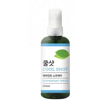  HJ 더허브샵 쿨샷 페퍼민트 스프레이 100ml