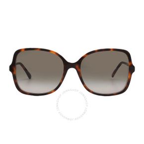 4664338 Jimmy Choo Brown Gradiient Butterfly Ladies Sunglasses