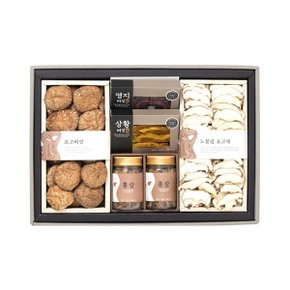 홍삼 표고버섯 혼합 선물세트 325g [표고+표고채+홍삼+상황버섯+영지버섯]