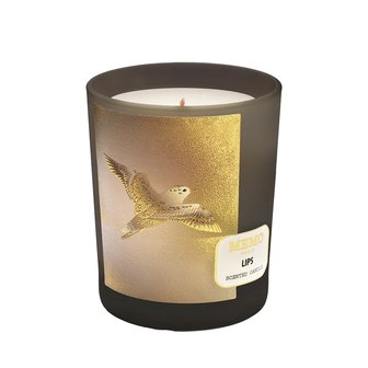 메모 센티드 캔들 립스 180g (튜베로즈) C815991000300