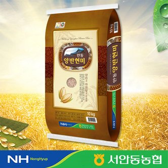 공감담음 [서안동농협] 2023년 안동 양반쌀 현미 10kg / 주문 후 당일도정